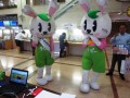 2015-6-17大田区役所-4