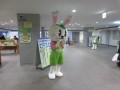 IMG_1010