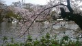 Image_eedcb1f