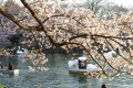 Image_fba9833