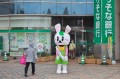 IMG_7876小