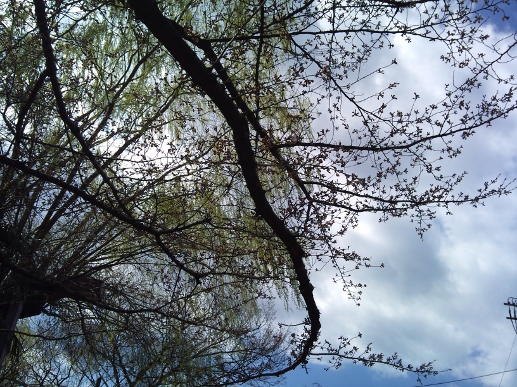 2012-04-01.jpg