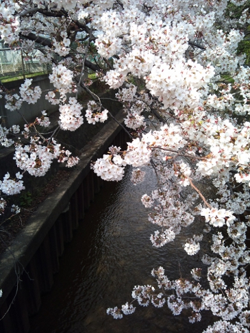 2012-04-07 mini.jpg