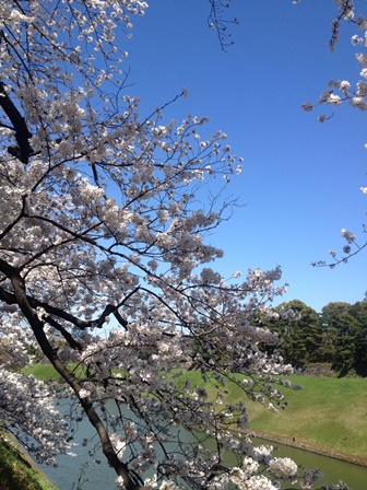 2014.4.3.jpg