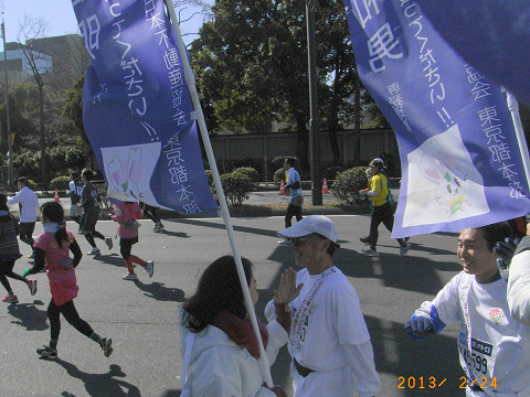 resize0010.jpg
