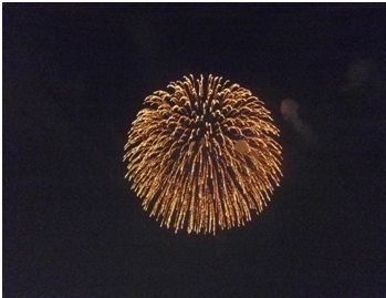 syowa kinen hanabi.jpg