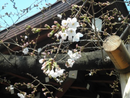 image03.19.1.jpg